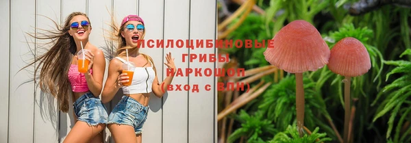 скорость Абаза
