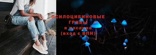трава Абинск